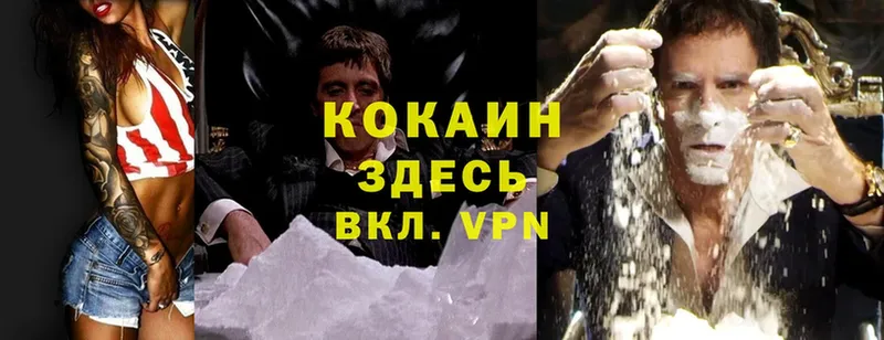 купить наркотики цена  Киселёвск  Cocaine Колумбийский 