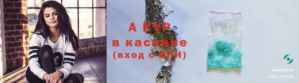 ГАЛЛЮЦИНОГЕННЫЕ ГРИБЫ Красноперекопск