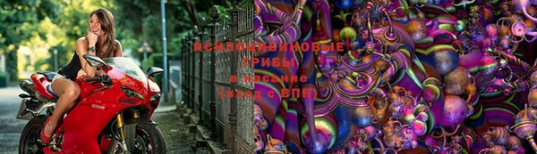 экстази Лагань