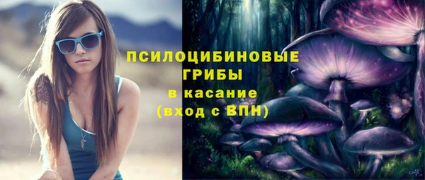 скорость Краснослободск